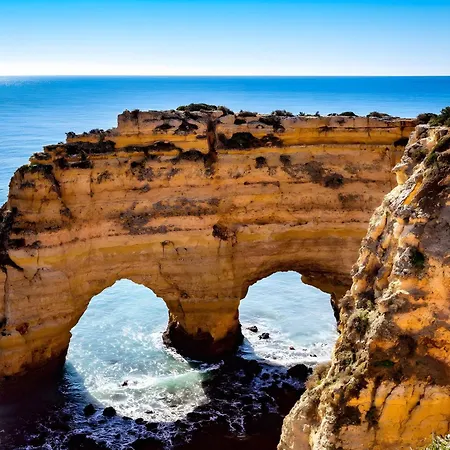 White And Terrace 公寓